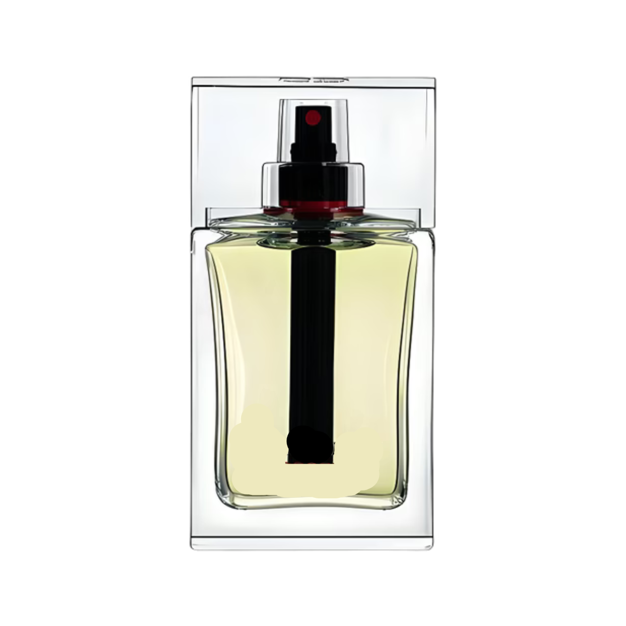 D. Homme Sport 2008 Type Formula